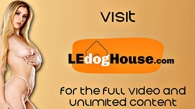 Busty Babe doggystyled by masseur