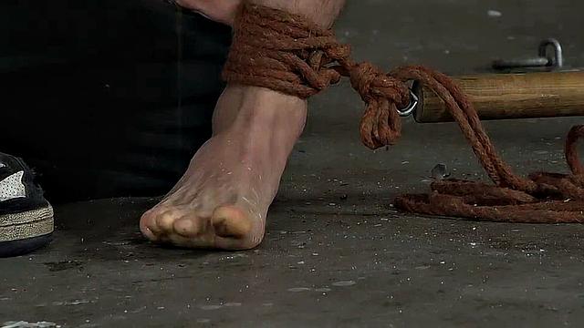 Эштон хочет эту порцию спермы - Люк Адамс и Эштон Брэдли
