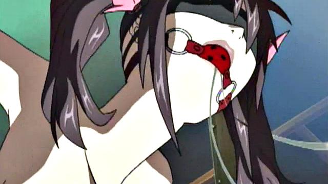 Virgin Hentai BDSM Teen Brutally Ripped By Master