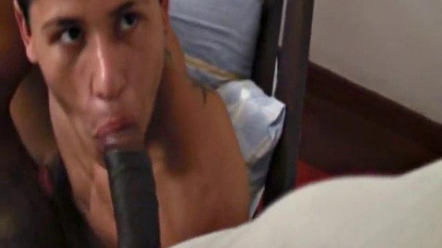 Martino Paiva, Josue Otaviano, and Nuno Santos