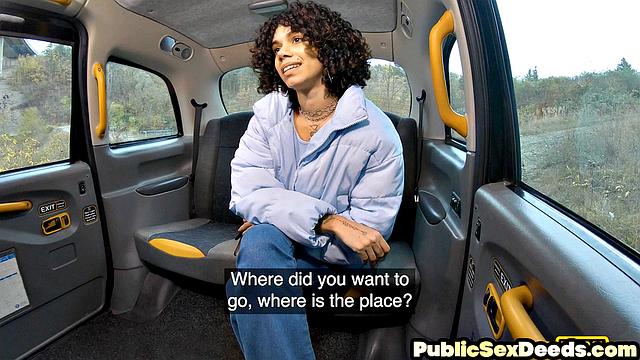 Cute hairy passenger pounded in POV