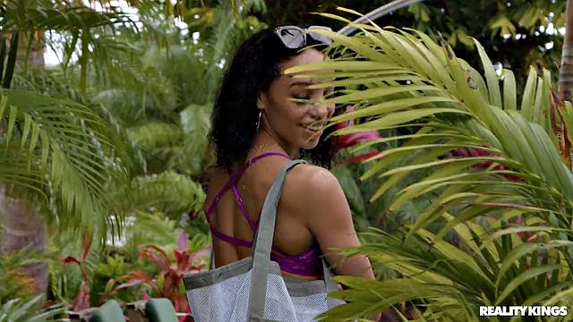 What Happens on Vacation