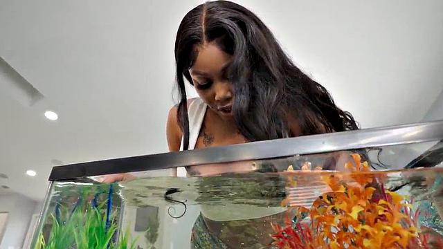 Big-ass amateur Ebony babe with amazing ass filmed for booty