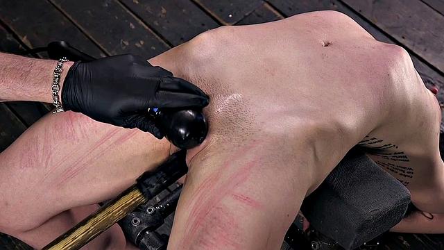 Whipped sub has unlimited orgasms while pussytoyed