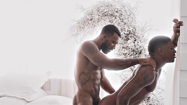 Cocksucking bottom jock analdrilled by BBC after rimjob