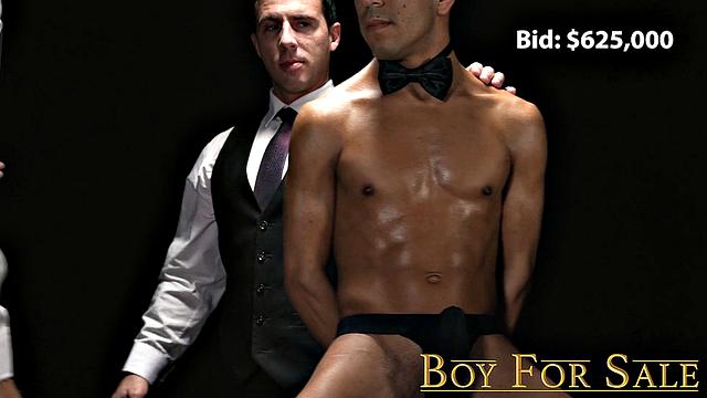 THE BOY MILO Chapter 2 - Auction