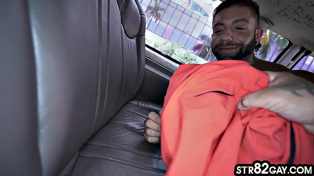 Pulled Hot doggystyled in van