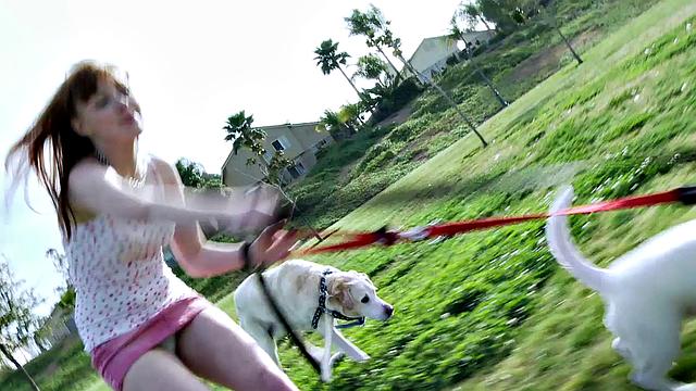 Adventures In Dogsitting