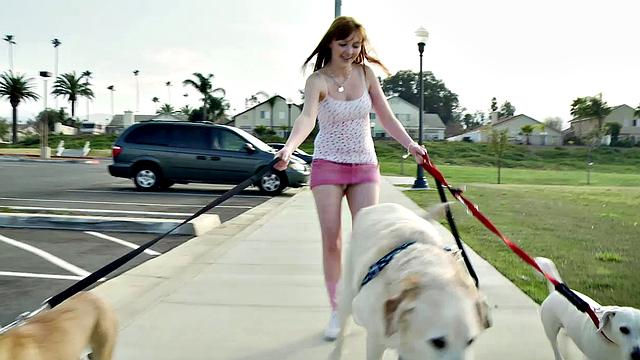 Adventures In Dogsitting