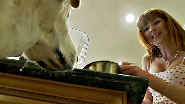 Adventures In Dogsitting