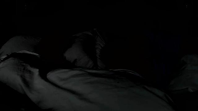 Adventures In Dogsitting