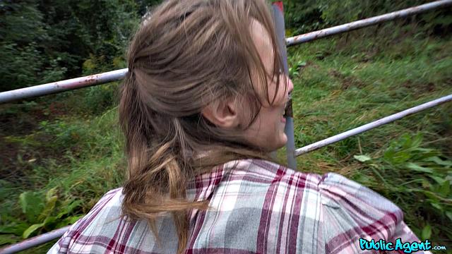 The Swedish Hitchhiker Gets Picked Up