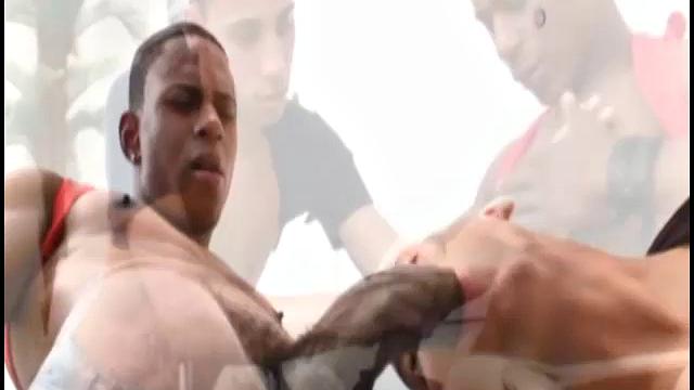 Anibal Ribeiro Pascoal Coelho