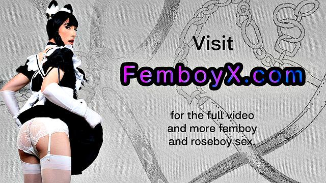 Erotic femboi trap bottomed