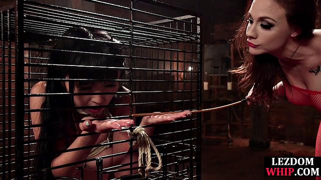 Suspended lez whipped by lezdom