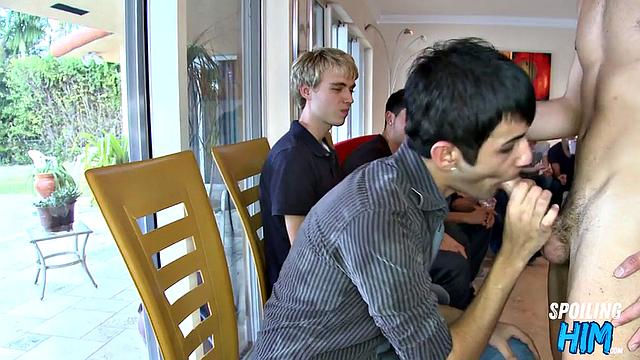 Party amateurs spoil stripper