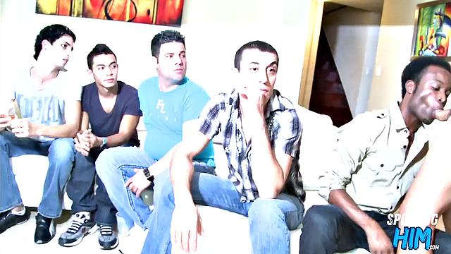 Party amateurs spoil stripper