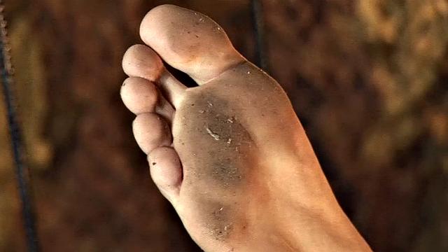 Jack Bloom and Terry Loo