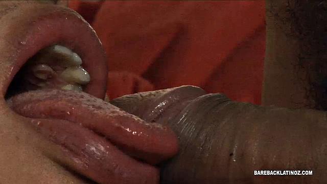 Два взрослых гея трахаются - Джонас и Алехо показывают класс