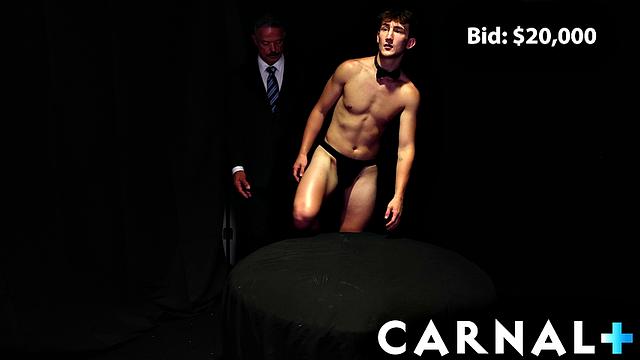 The Auction THE BOY Vol. 1