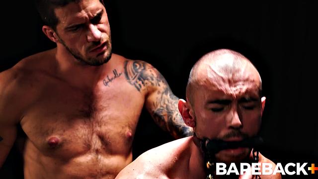 Mare Assessment LOADS Vol. 2