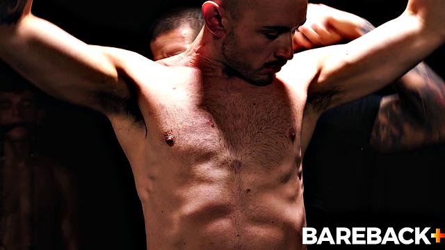 Mare Assessment LOADS Vol. 2