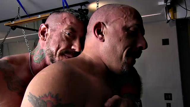 Pig Week Gorilla Porn Orgy 2