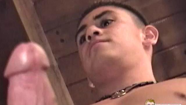 This solo jerk off scene features frat boy Kevin attending a university in Northern California. He has a smile that is nothing short of captivating and a hot cut cock to match.