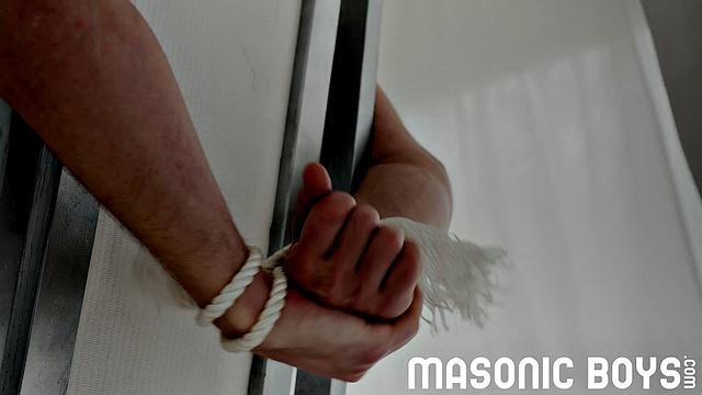 APPRENTICE SHEPARD Chapter 1 - Interview