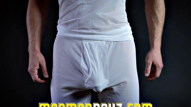 The Ward Mission Leader