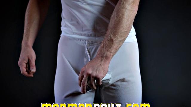 The Ward Mission Leader