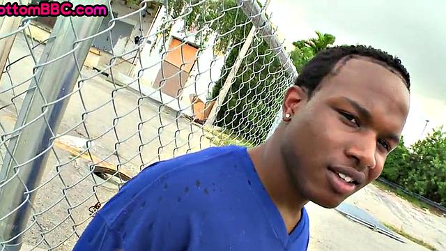 смазанный нефтью ниггер и хитрый белый - секс на природе с юмором