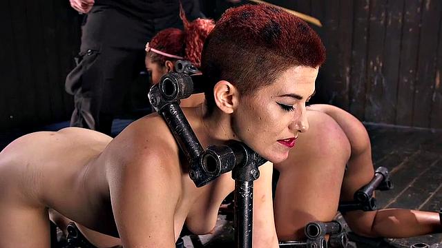 Predicament bondage babes whipped by master in BDSM