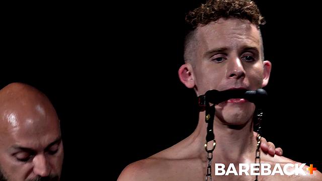 Stable Master LOADS Vol. 1