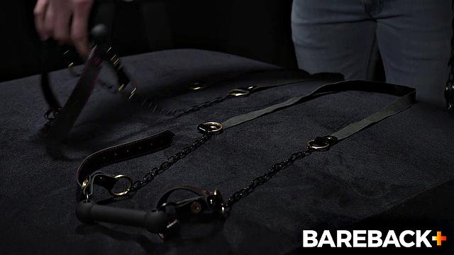 Stable Master LOADS Vol. 1