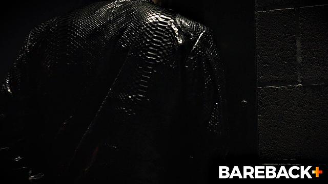 Stable Master LOADS Vol. 1