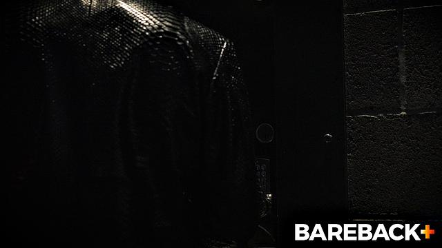 Stable Master LOADS Vol. 1