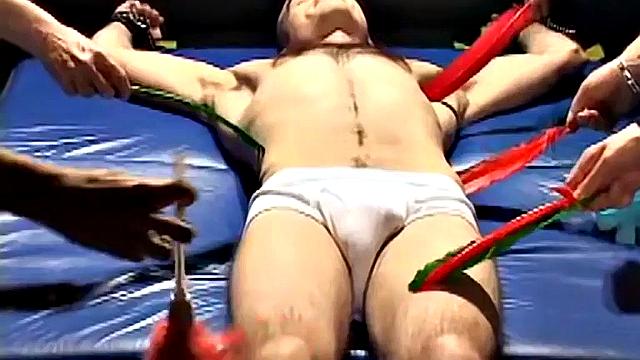 Jay's Playful Adventure