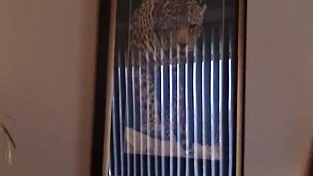 Straight Enrique Sucks My Cock