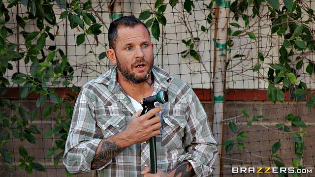 Domestic Maintenance