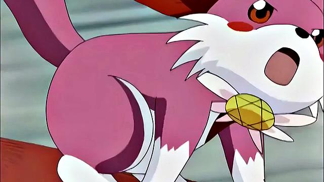 Anime Hentai Manga blowjob and sex films