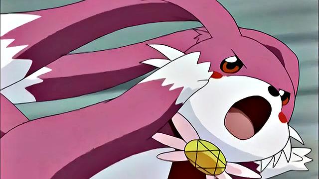 Anime Hentai Manga blowjob and sex films