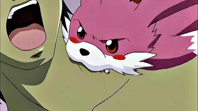 Anime Hentai Manga blowjob and sex films