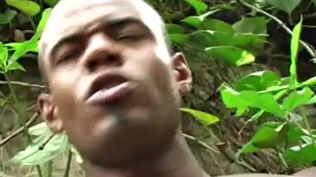 Pero Boteino stands in the jungle, beating his enormous cock while waiting for someone to join him. Blond beauty Pero Coresma offers, but not before Denis Torres gets blown by the Brazilian stud muffin.