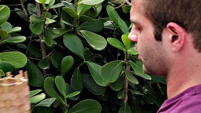 A red-hot MILF sucks and fucks