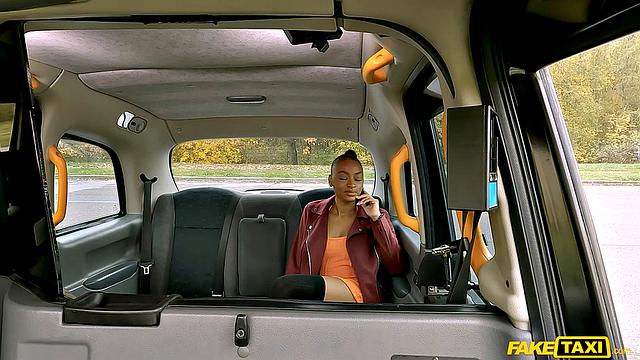 The Truth Will Set You Free