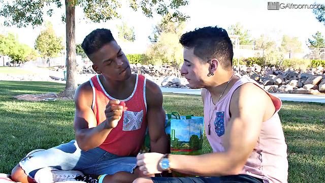 Picnic In The Park With A Hot Babe
