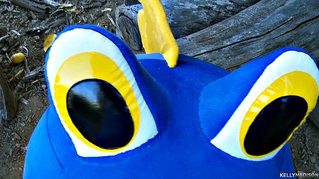 How To Blow a Dragon