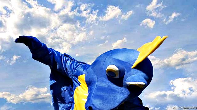 How To Blow a Dragon