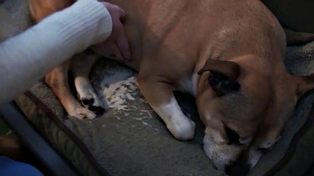 SPASCALSSUBSLUTS - Hottie Jessica Jensen swallows maledom cum